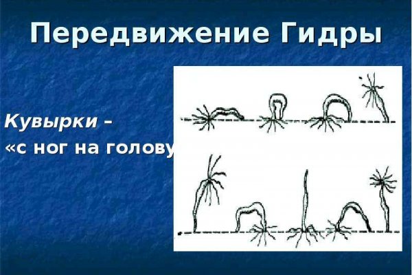 Kraken вход зеркало